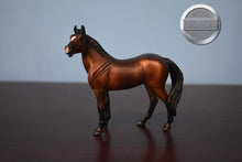 Load image into Gallery viewer, Bay Quarter Horse-Standing Stock Horse Mold-Breyer Stablemate
