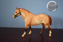 Load image into Gallery viewer, Dun Sabino from Three Pintos Set-Quarter Horse Gelding Mold-Breyer Traditional