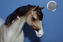 Load image into Gallery viewer, Cloud of Mist-Jamboree Exclusive-Pony Mold-Peter Stone