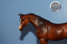 Load image into Gallery viewer, UNKNOWN NAME-Chestnut Matte Pebbles Arabian-Peter Stone