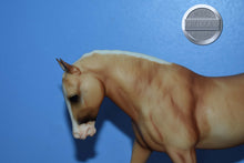 Load image into Gallery viewer, Party Shoes-Cantering Welsh Pony Mold-Breyer Traditional