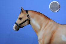 Load image into Gallery viewer, Dun Sabino from Three Pintos Set-Quarter Horse Gelding Mold-Breyer Traditional