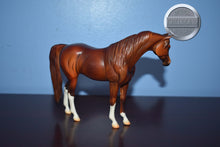 Load image into Gallery viewer, UNKNOWN NAME-Chestnut Matte Pebbles Arabian-Peter Stone