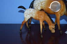 Load image into Gallery viewer, Clara and Mae-Vintage Club Exclusives-Grazing Mare and Foal Mold-Breyer Traditional