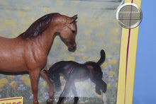 Load image into Gallery viewer, Red Roan Arabian Mare and Dark Bay Scrambling Foal-New in Box-Breyer Classic