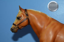 Load image into Gallery viewer, Palomino QH-From JCP Traditional Set-Quarter Horse Gelding Mold-Breyer Traditional