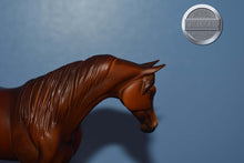 Load image into Gallery viewer, UNKNOWN NAME-Chestnut Matte Pebbles Arabian-Peter Stone