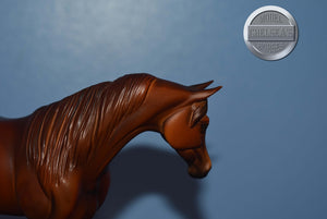 UNKNOWN NAME-Chestnut Matte Pebbles Arabian-Peter Stone