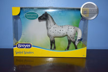 Load image into Gallery viewer, Spotted Wonders NO FOAL-New in Box-Standing Thoroughbred Mold-Breyer Classic