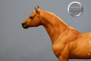 Cream of Tartar-Pony of Americas Mold-Breyer Traditional