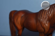 Load image into Gallery viewer, UNKNOWN NAME-Chestnut Matte Pebbles Arabian-Peter Stone
