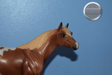 Load image into Gallery viewer, Chestnut Calvin-Show Stock Horse Mold-Breyer Classic