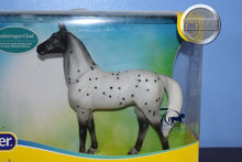 Load image into Gallery viewer, Spotted Wonders NO FOAL-New in Box-Standing Thoroughbred Mold-Breyer Classic