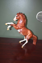 Load image into Gallery viewer, Chestnut Pinto 70th Anniversary Mustang-Matte-Fighting Stallion Mold-Breyer Traditional