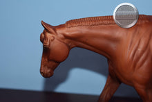 Load image into Gallery viewer, Red Chestnut Western Pleasure Horse-WPH Mold-Peter Stone