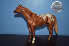 Load image into Gallery viewer, Chestnut Calvin-Show Stock Horse Mold-Breyer Classic