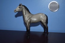 Load image into Gallery viewer, Vintage Grey Appaloosa Foal-Standing Stock Foal Mold-Breyer Traditional