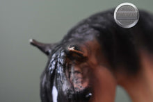Load image into Gallery viewer, Let's Go Riding Western-Horse ONLY-Foundation Stallion Mold-Breyer Traditional