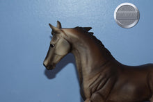 Load image into Gallery viewer, Bluegrass Bandit-Original on the Mold-Breyer Traditional