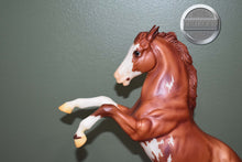 Load image into Gallery viewer, Chestnut Pinto 70th Anniversary Mustang-Matte-Fighting Stallion Mold-Breyer Traditional