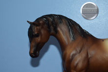 Load image into Gallery viewer, JCP Wild Horses of America-Appaloosa ONLY-Foundation Stallion Mold-Breyer Traditional
