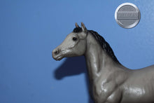 Load image into Gallery viewer, Vintage Grey Appaloosa Foal-Standing Stock Foal Mold-Breyer Traditional