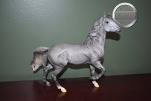 Load image into Gallery viewer, Hwin-Mustang Mare Mold-Breyer Traditional