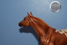 Load image into Gallery viewer, Chestnut Calvin-Show Stock Horse Mold-Breyer Classic