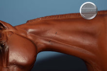 Load image into Gallery viewer, Red Chestnut Western Pleasure Horse-WPH Mold-Peter Stone
