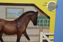 Load image into Gallery viewer, Bay Hanoverian-New in Box-Jet Run Mold-Breyer Classic