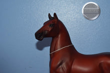 Load image into Gallery viewer, Aristocrat Hackney Champion-Hackney Pony Mold-Breyer Traditional