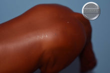 Load image into Gallery viewer, Red Chestnut Western Pleasure Horse-WPH Mold-Peter Stone