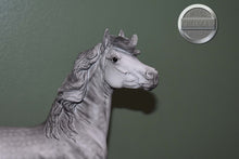 Load image into Gallery viewer, Hwin-Mustang Mare Mold-Breyer Traditional