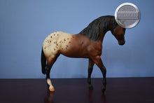 Load image into Gallery viewer, JCP Wild Horses of America-Appaloosa ONLY-Foundation Stallion Mold-Breyer Traditional