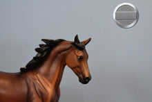 Load image into Gallery viewer, Bay Bluegrass Bandit from JCP Set-Bluegrass Bandit Mold-Breyer Traditional