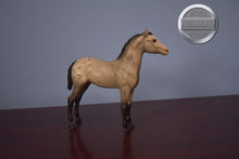 Load image into Gallery viewer, Vintage Grey Appaloosa Foal-Standing Stock Foal Mold-Breyer Traditional