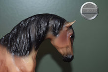 Load image into Gallery viewer, Let's Go Riding Western-Horse ONLY-Foundation Stallion Mold-Breyer Traditional