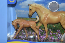 Load image into Gallery viewer, Palomino Morgan and Foal-Quarter Horse Gelding Mold-New in Box-Breyer Classic