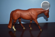 Load image into Gallery viewer, Red Chestnut Western Pleasure Horse-WPH Mold-Peter Stone