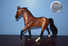 Load image into Gallery viewer, Bay Bluegrass Bandit from JCP Set-Bluegrass Bandit Mold-Breyer Traditional