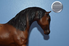 Load image into Gallery viewer, JCP Wild Horses of America-Appaloosa ONLY-Foundation Stallion Mold-Breyer Traditional