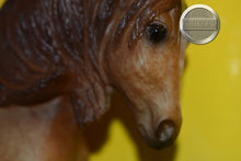 Load image into Gallery viewer, Chavall-With Backing-Andalusian Mold-Breyer Classic
