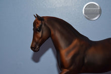 Load image into Gallery viewer, Liver Chestnut-El Pastor Mold-Breyer Traditional