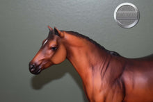 Load image into Gallery viewer, Bay Quarter Horse-Swish Tail Version-Lady Phase Mold-Breyer Traditional