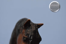 Load image into Gallery viewer, JCP Wild Horses of America-Appaloosa ONLY-Foundation Stallion Mold-Breyer Traditional