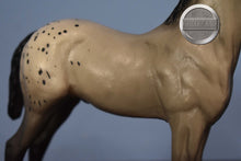 Load image into Gallery viewer, Vintage Grey Appaloosa Foal-Standing Stock Foal Mold-Breyer Traditional