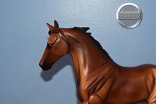 Load image into Gallery viewer, Bay Bluegrass Bandit from JCP Set-Bluegrass Bandit Mold-Breyer Traditional