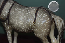Load image into Gallery viewer, Dapple Grey Old Timer-No Hat-Old Timer Mold-Breyer Traditional