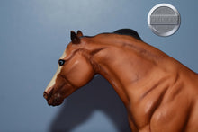 Load image into Gallery viewer, Dun Gotta Gun-Reining Horse Mold-Breyer Classic