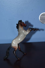 Load image into Gallery viewer, Matte Barbados-Rearing Horse-Chip Scale-Peter Stone